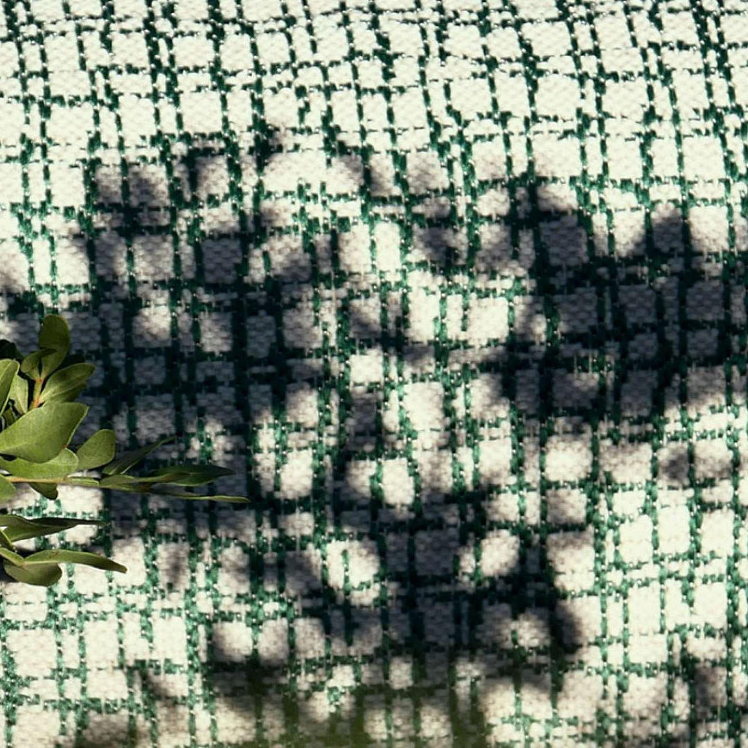 Pietro - Vegetal Inegal