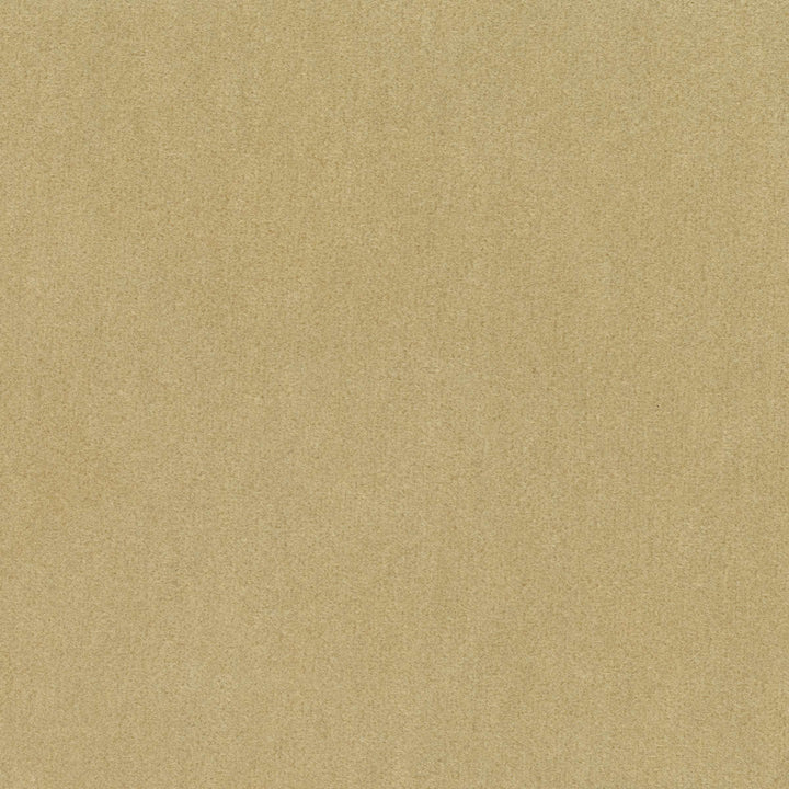 Candy - Regard Inconu