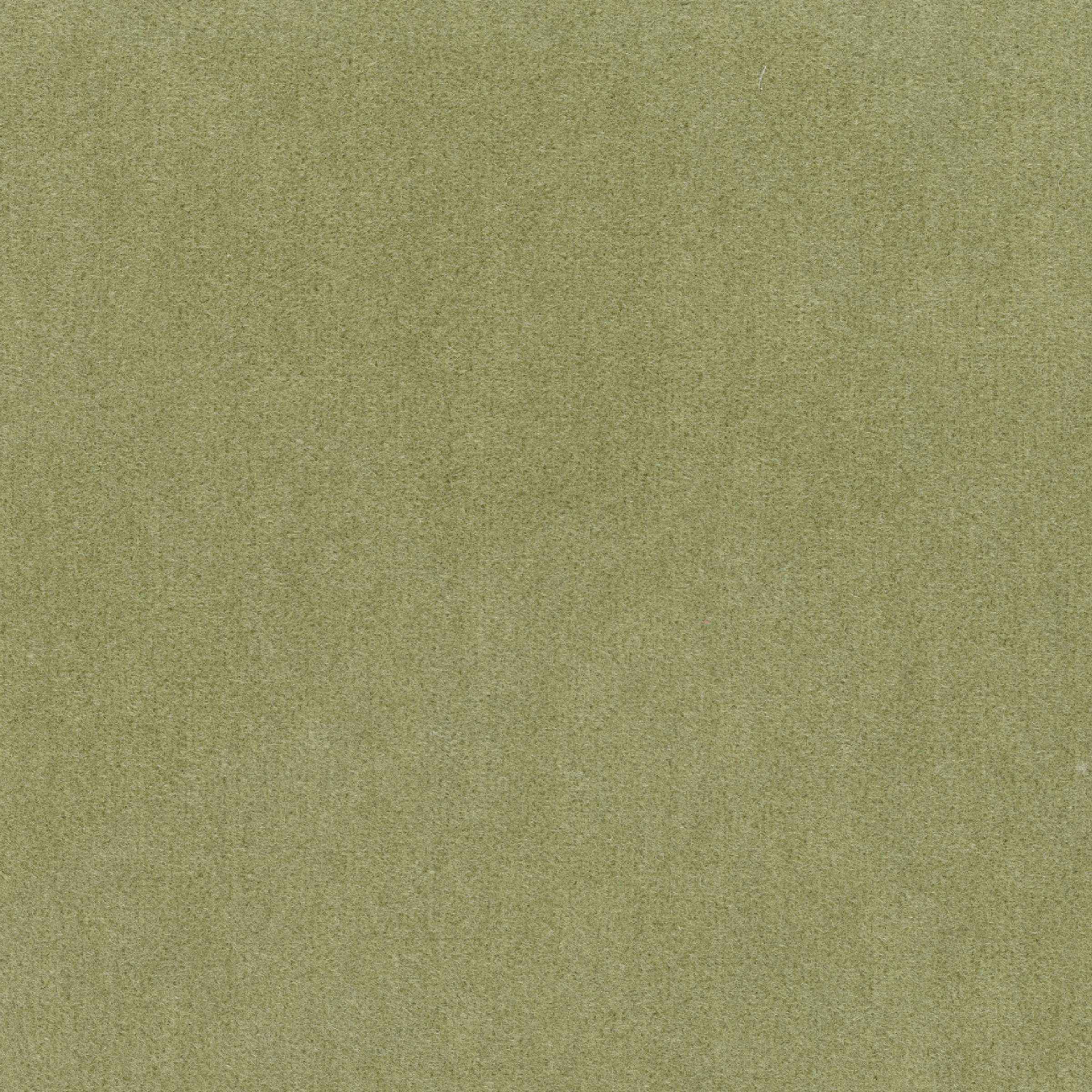 Candy - Plateau Desertique