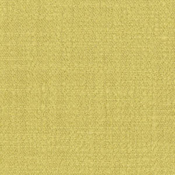 Curtis - Paillette Lunaire