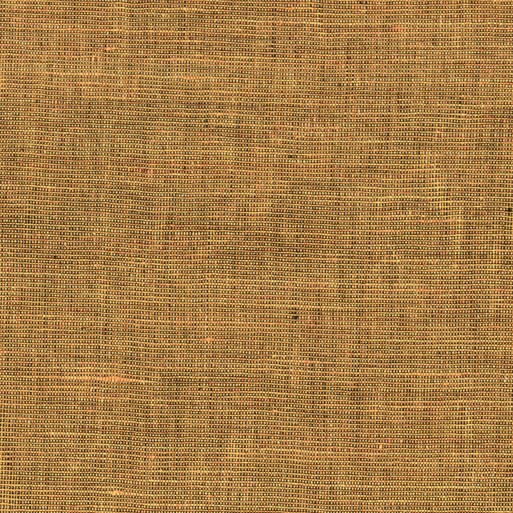 Star - Detail Eblouissant