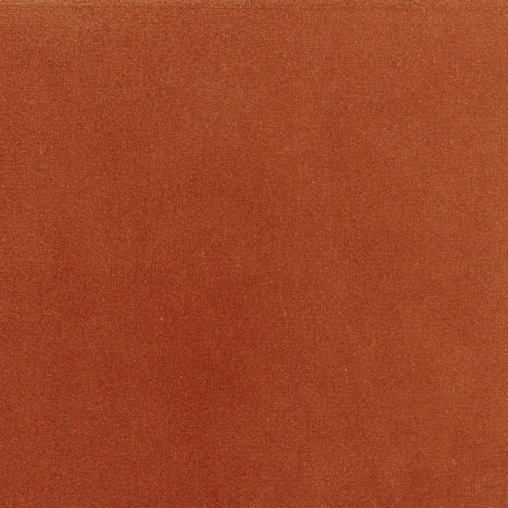 Palatine - Pourvoyeuse D'Ete