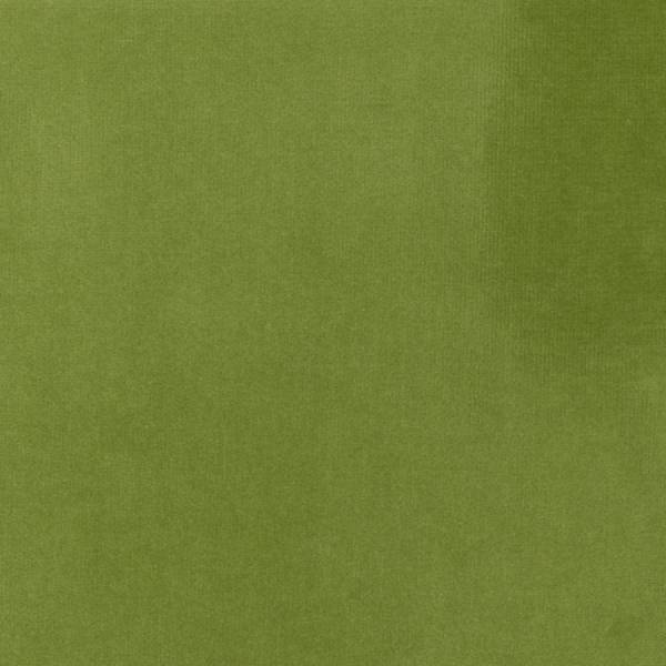 Palatine - Fragment De Vitrail