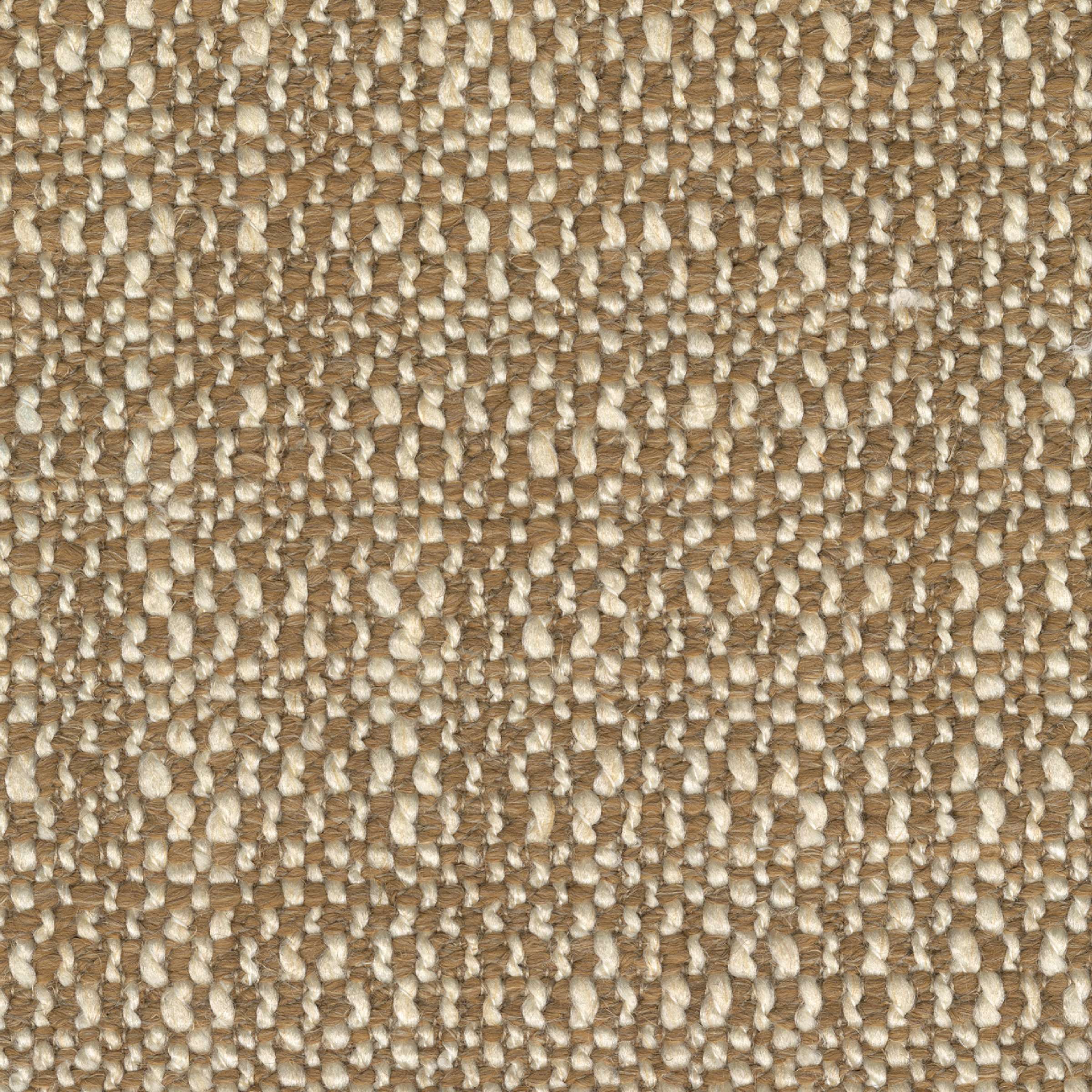 Finn - Rocheuses Magnifiques