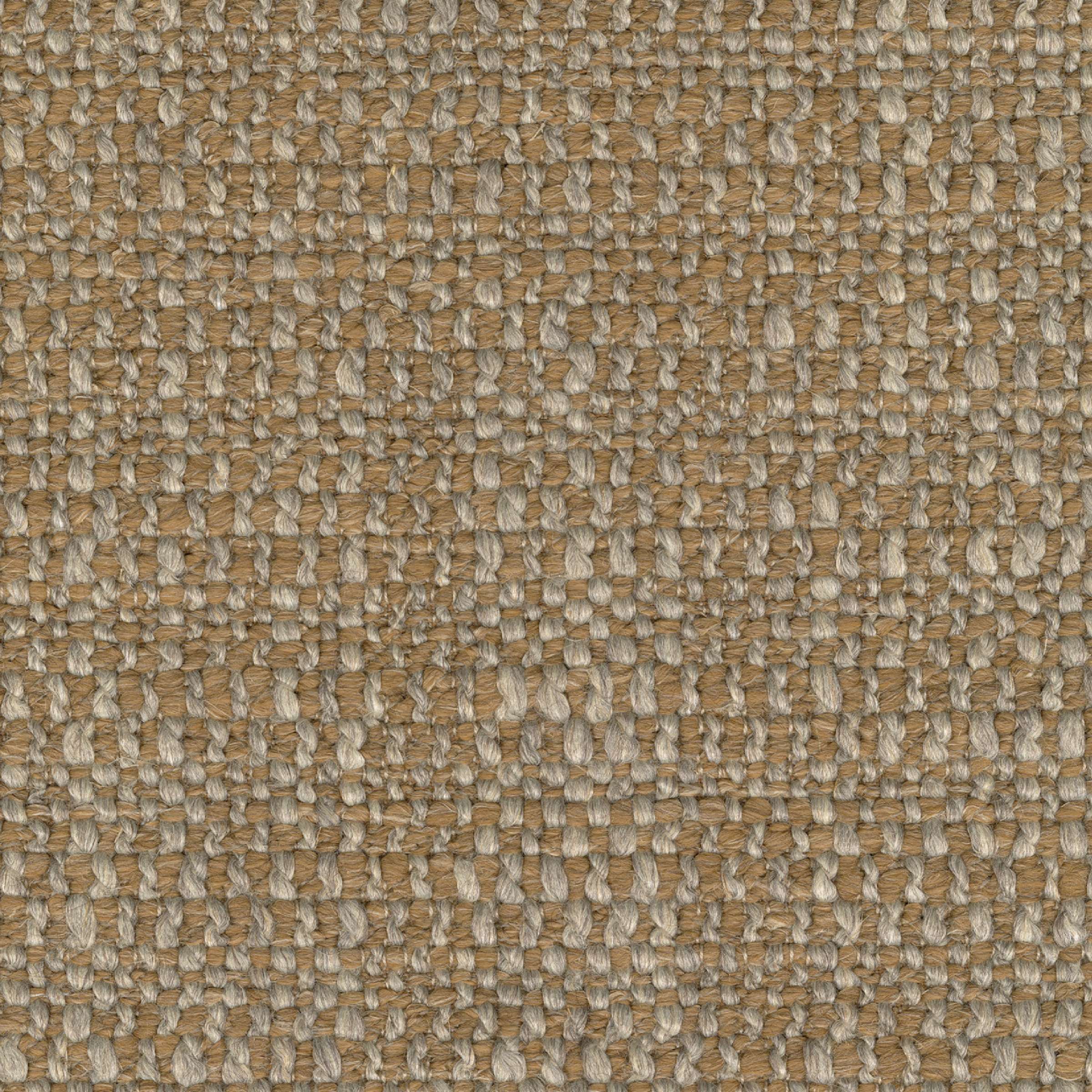 Finn - Le Bois Des Pins