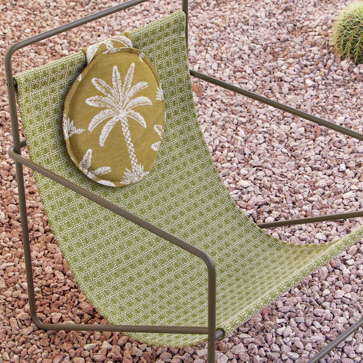 Santa Monica - Cactus Du Desert