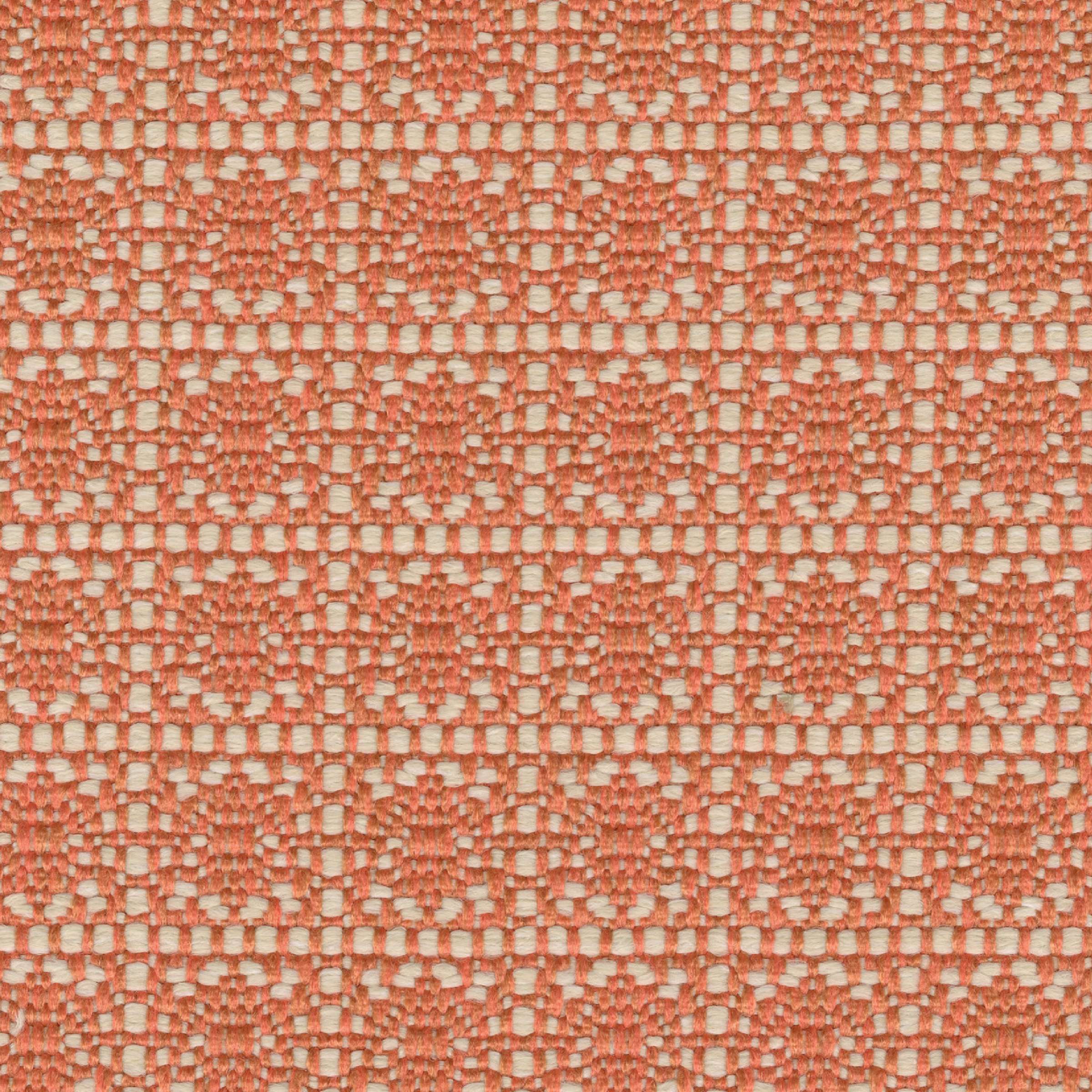 Santa Monica - Fleur D'Hibiscus