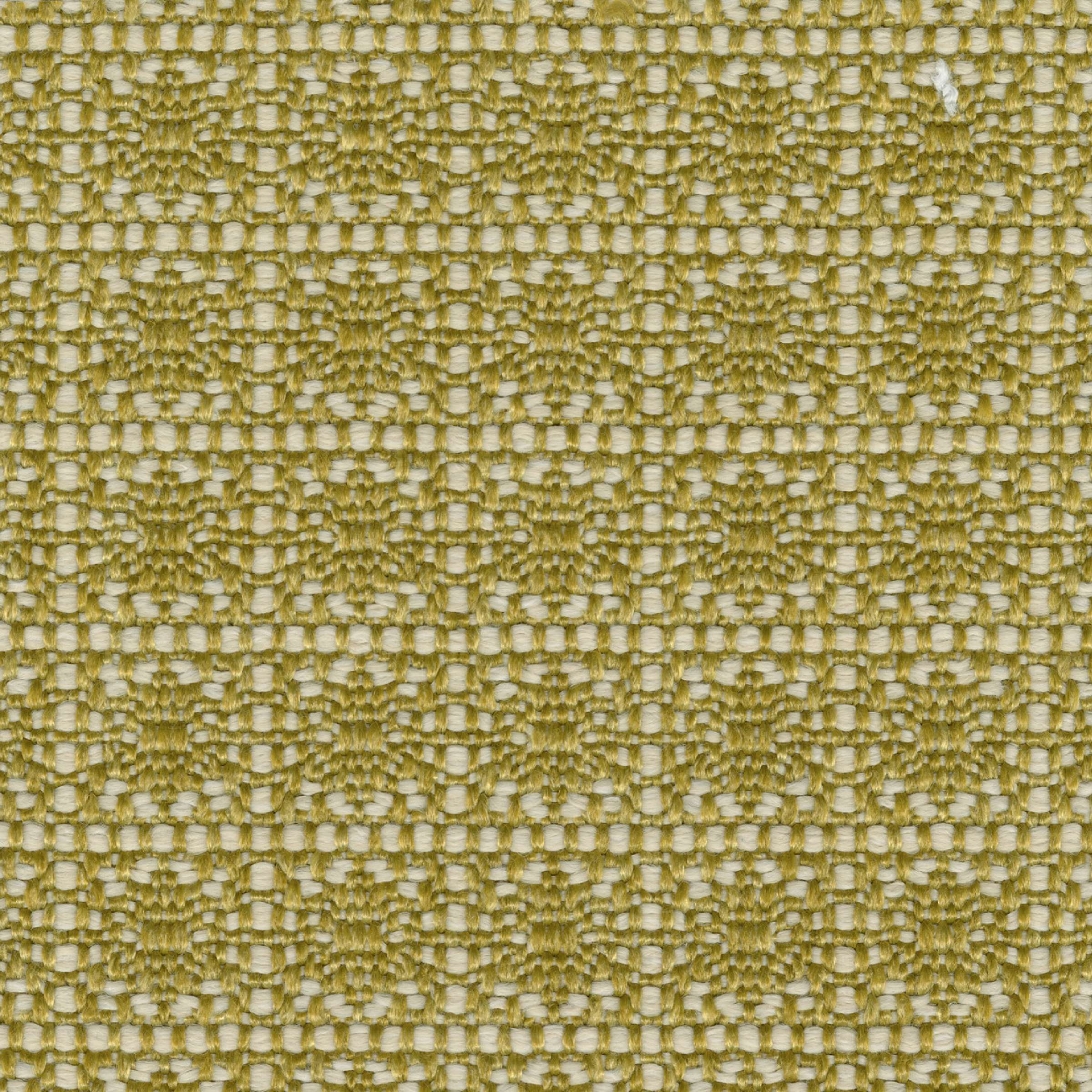 Santa Monica - Cactus Du Desert