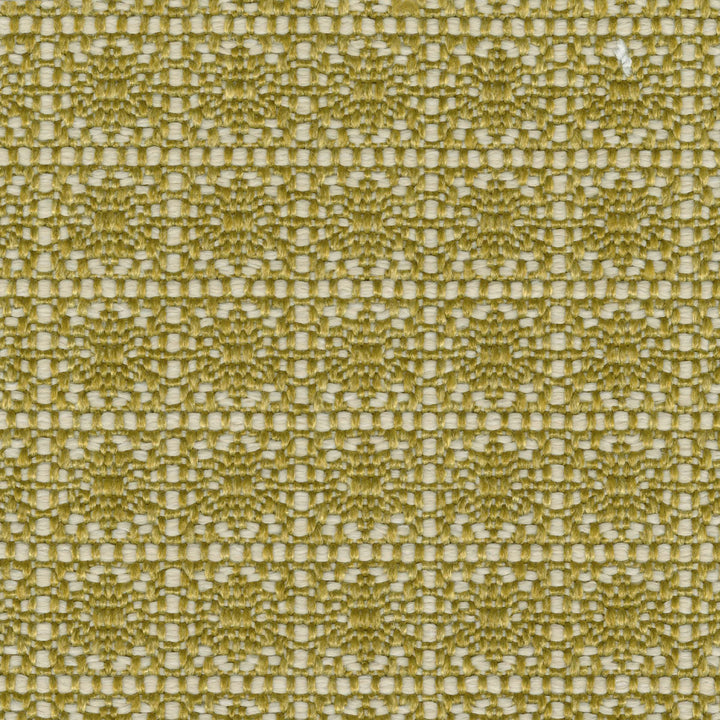 Santa Monica - Cactus Du Desert