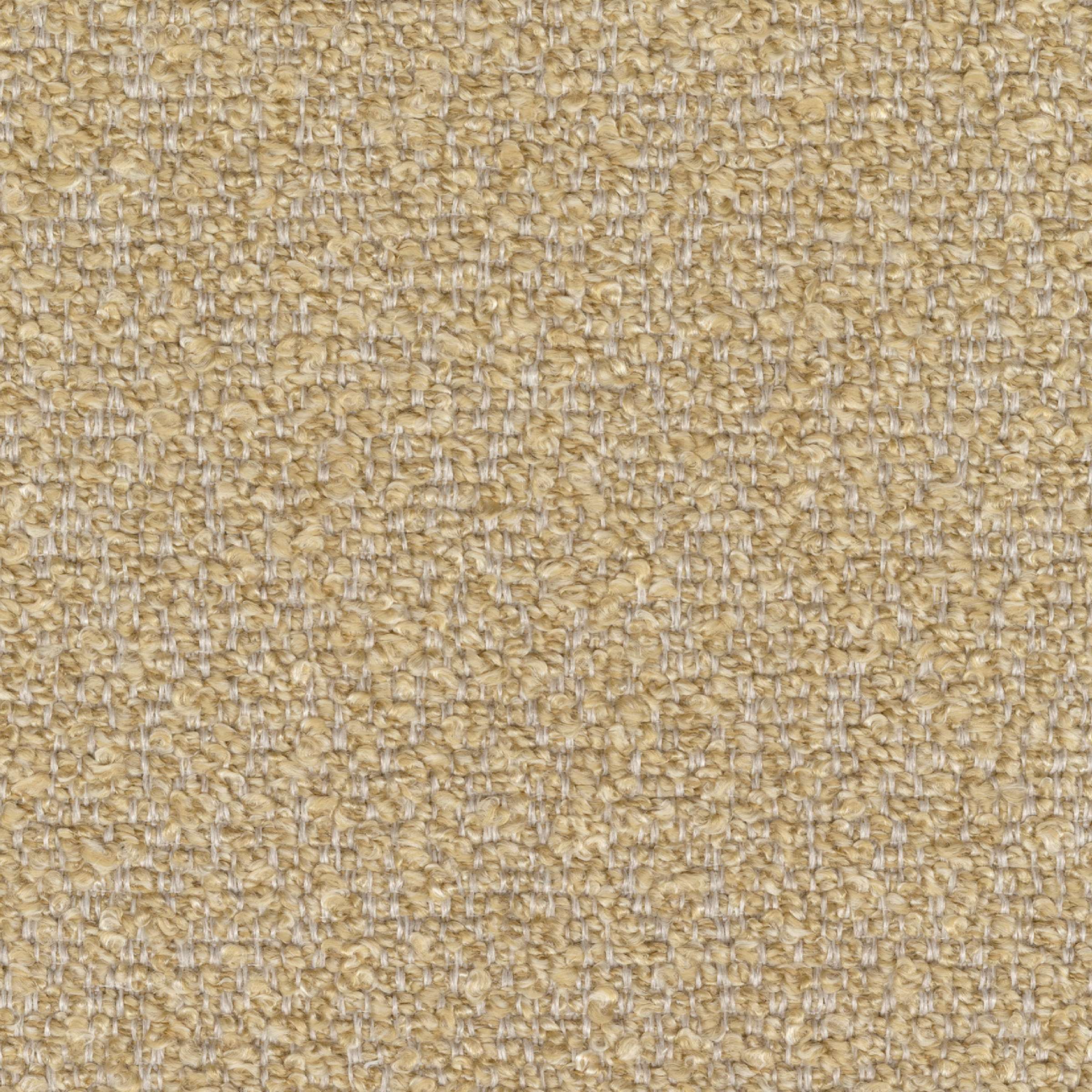 Vargas - Route Sablonneuse