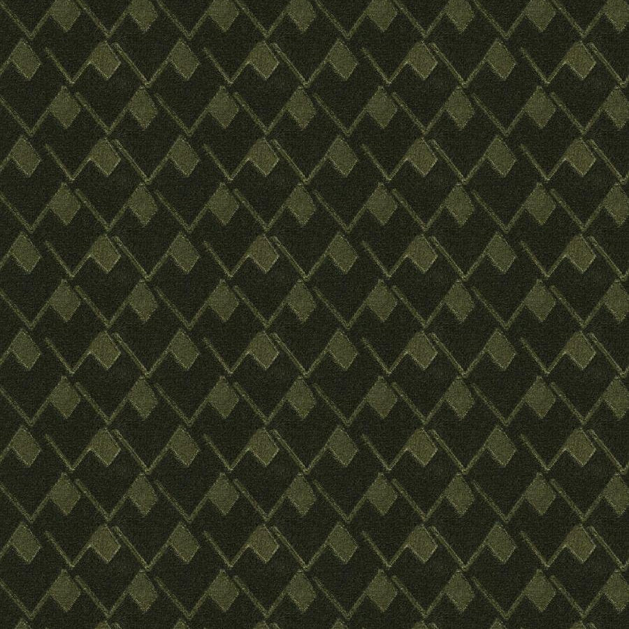 Versante - Pine Needle