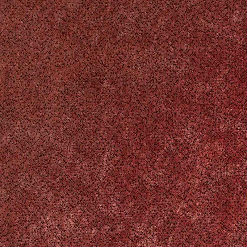 VELOURS DALMATIEN - 10565_57