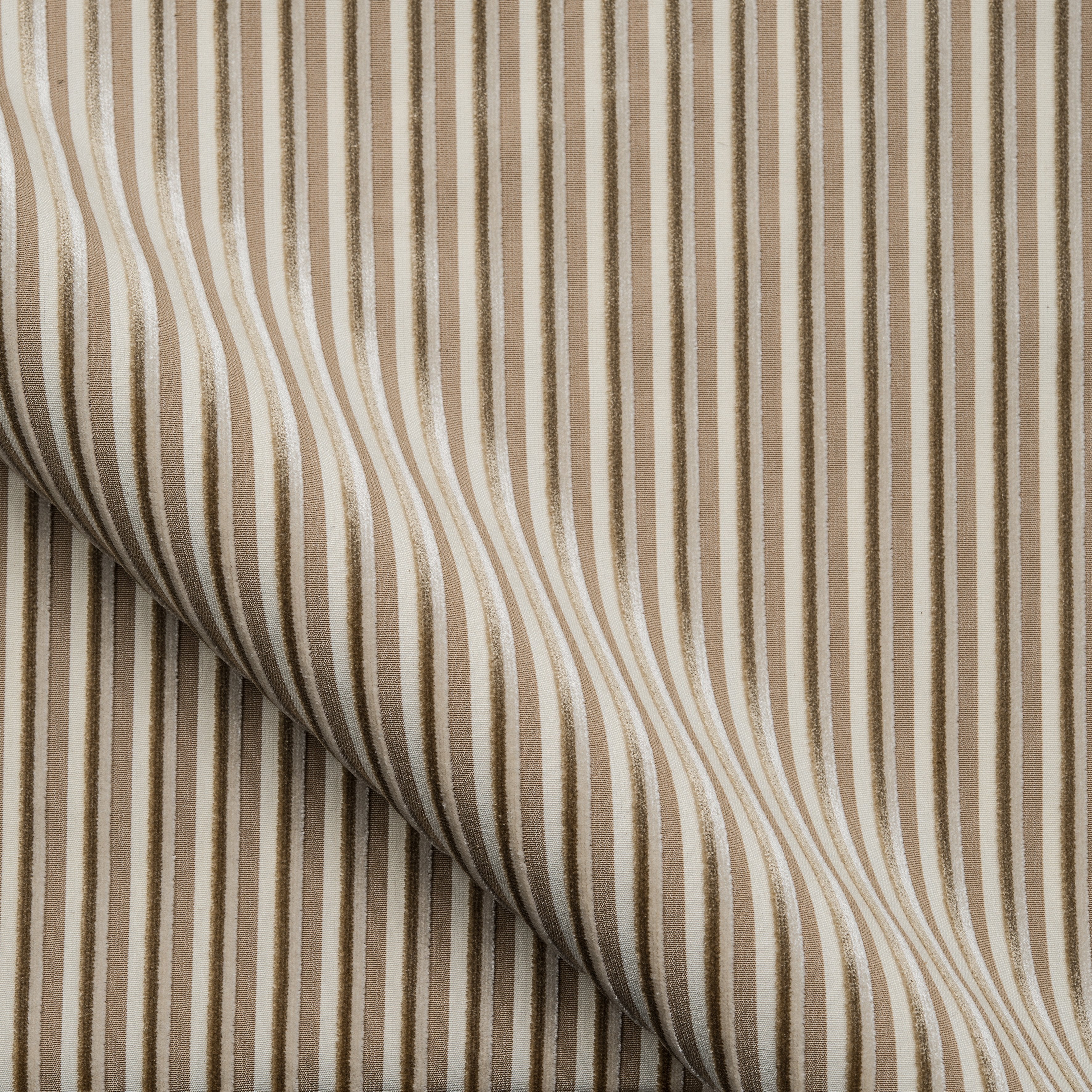 RAYURE CONCORDE - 10720_02