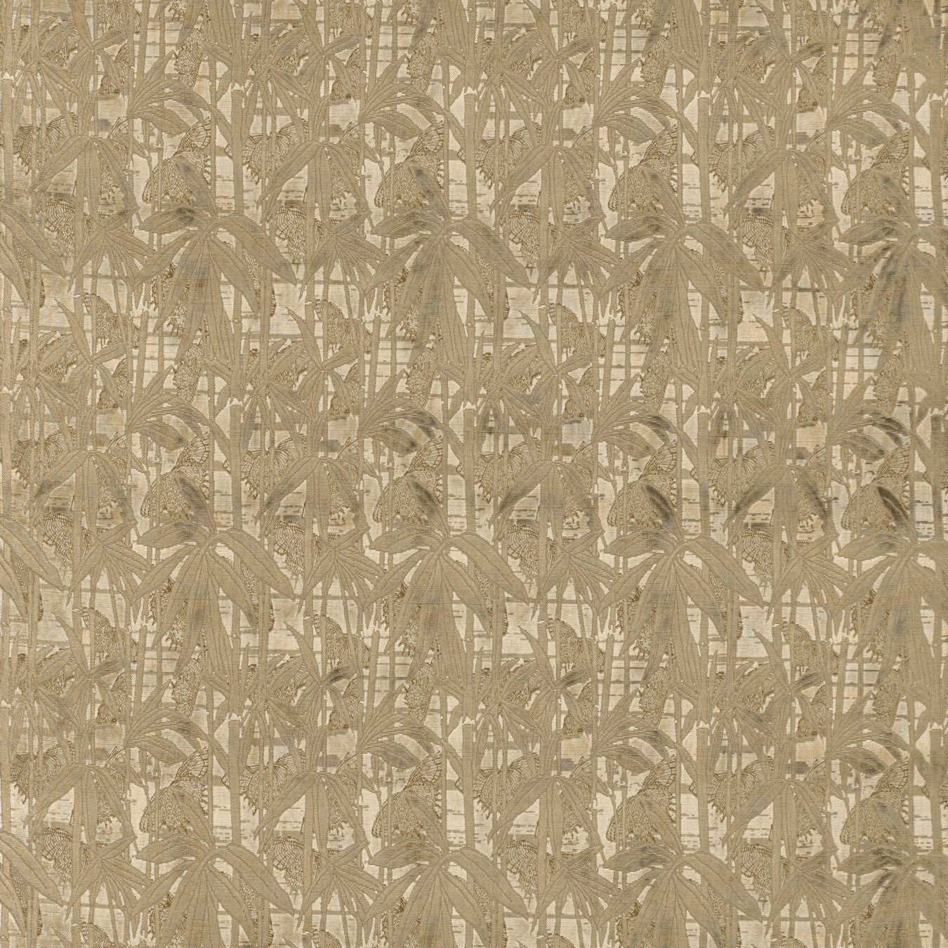 Velours Farfalla - 10886_05