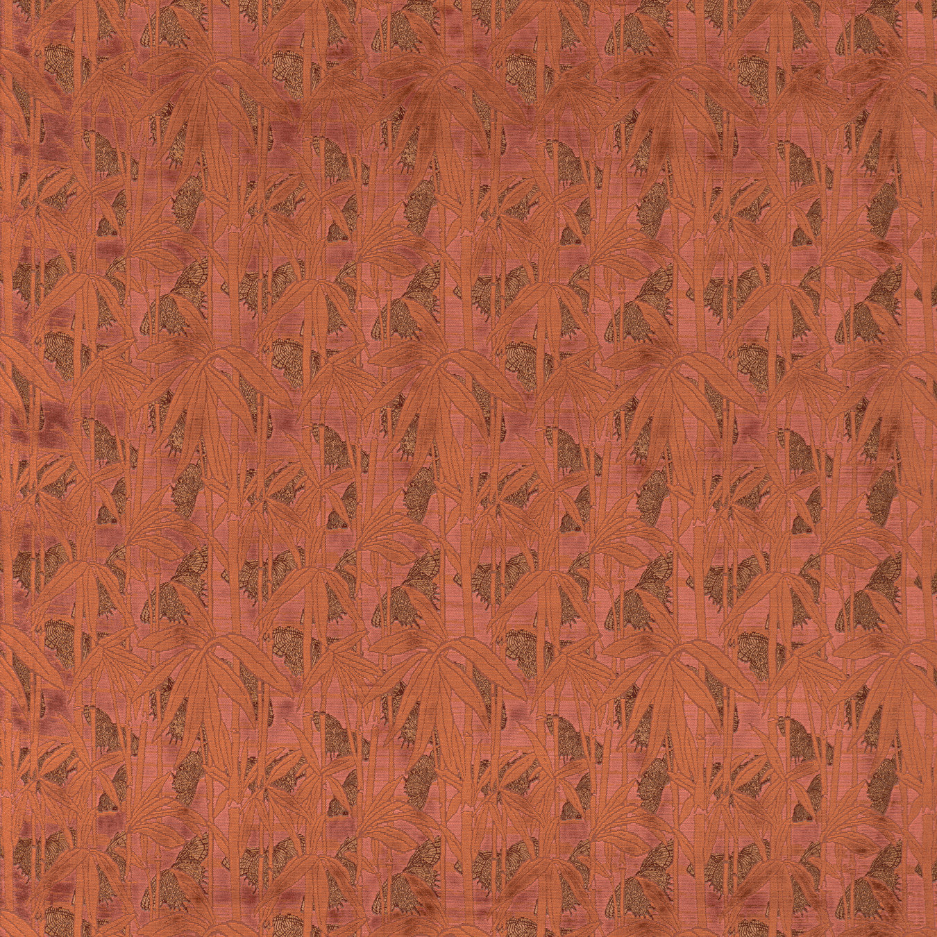 Velours Farfalla - 10886_49