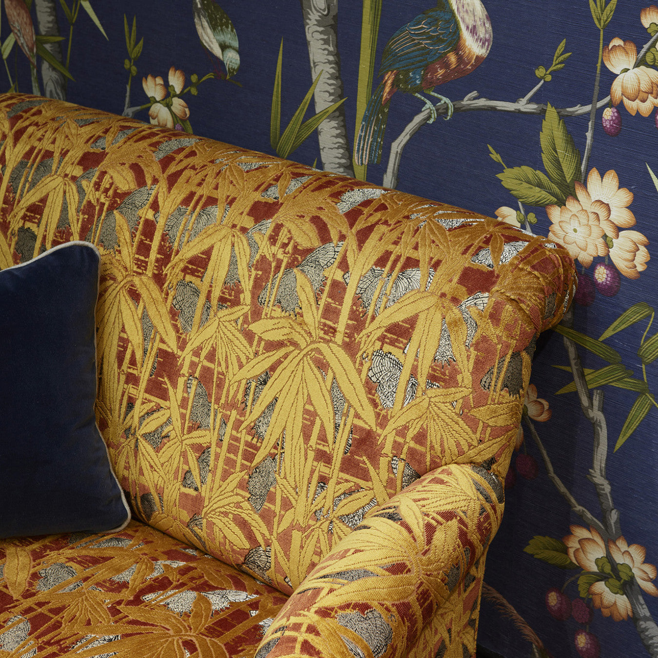 Velours Farfalla - 10886_34