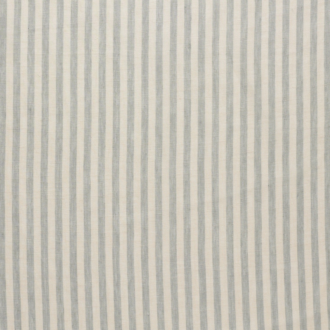 Boardwalk - Robin's Egg / Cream