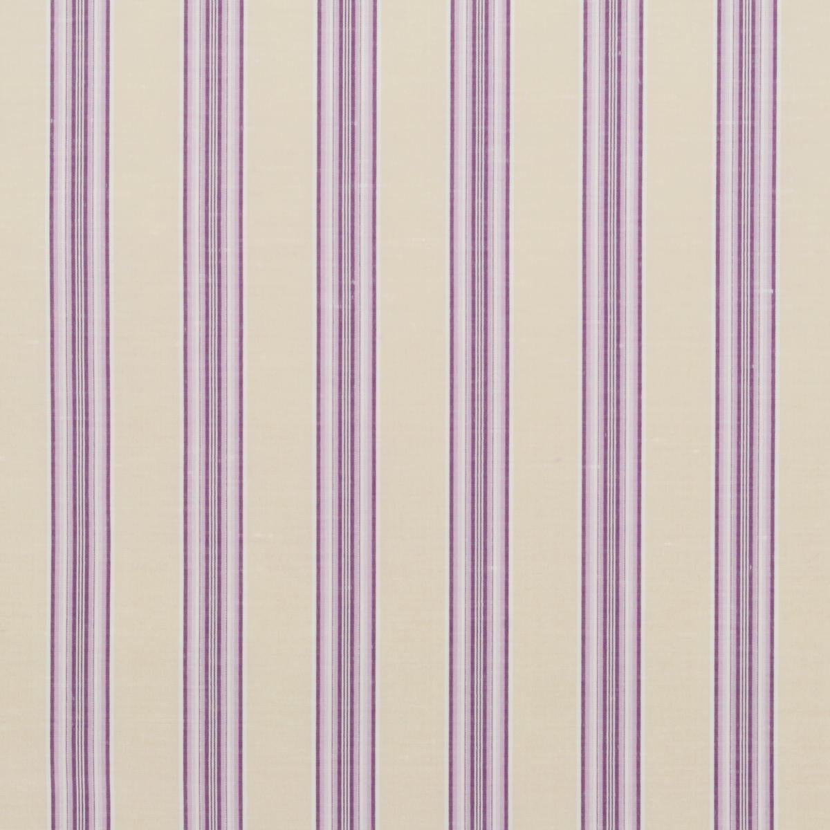 Trudeau Stripe - Violette