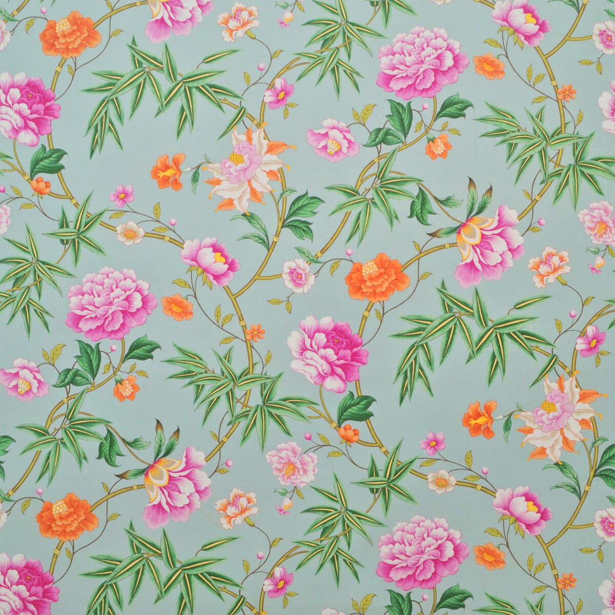 Vieux Canton - Apricot / Bristol