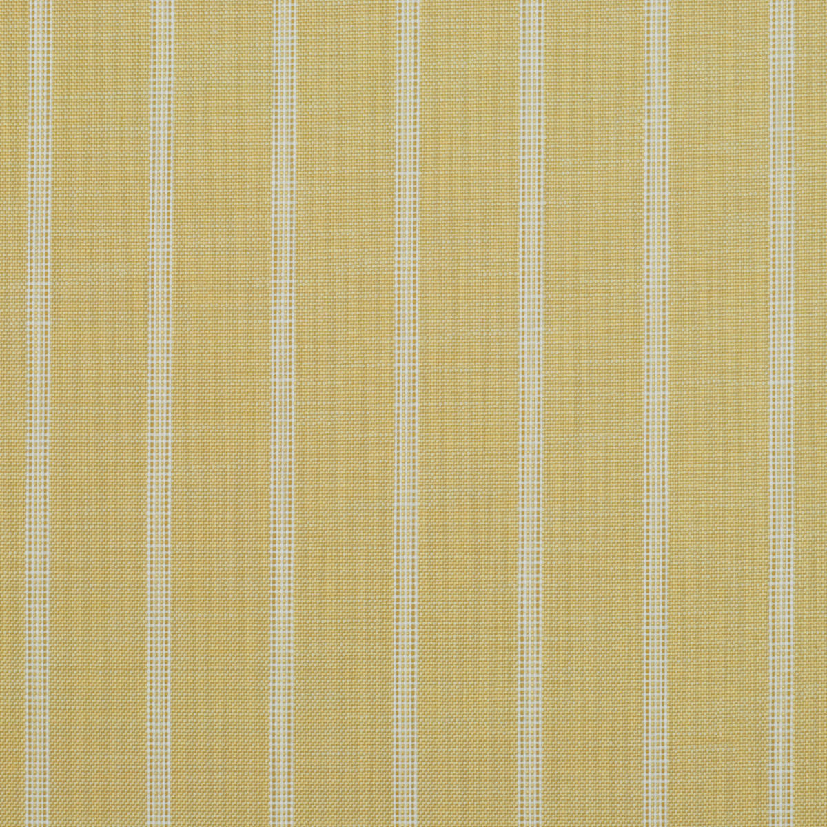 Od Panama Stripe - Lemon