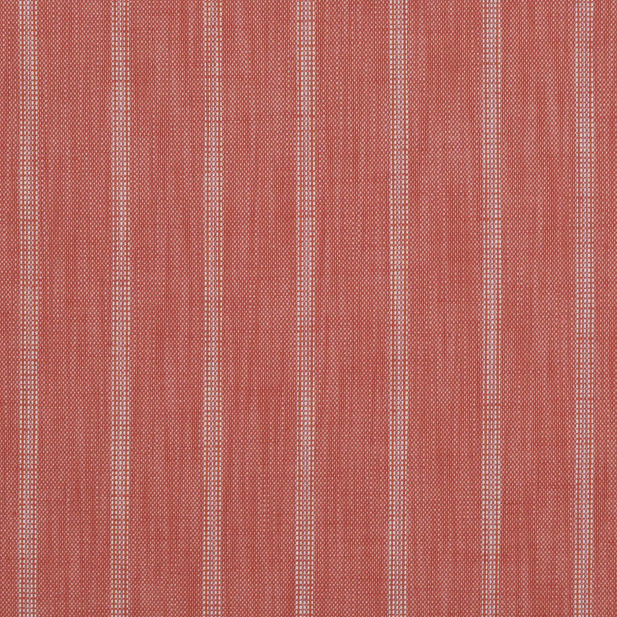 Od Panama Stripe - Coral