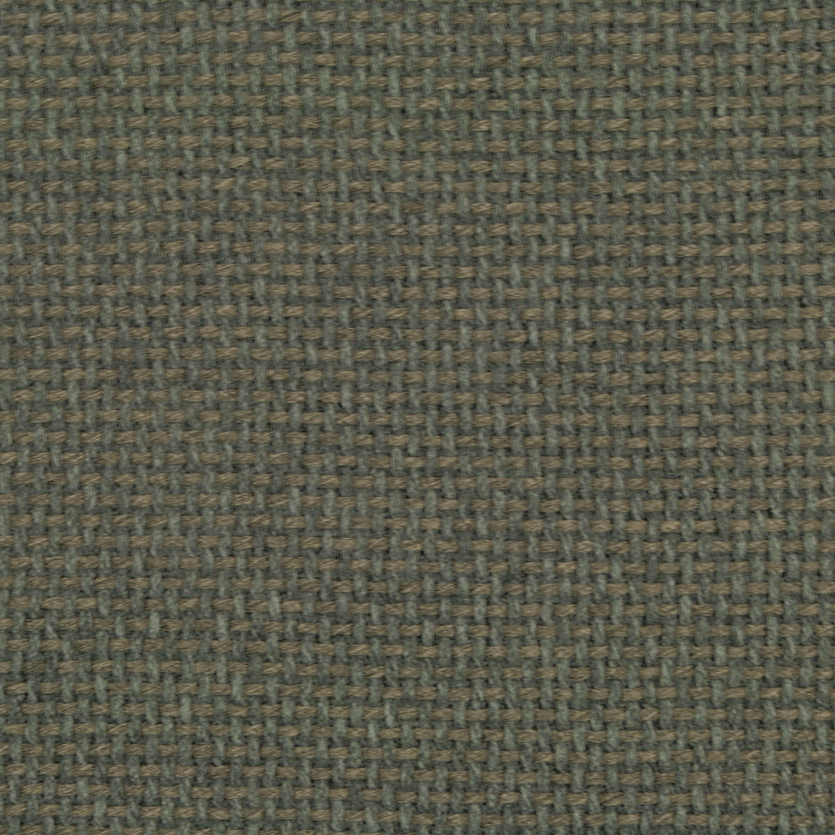 Od Sarasota - Mushroom