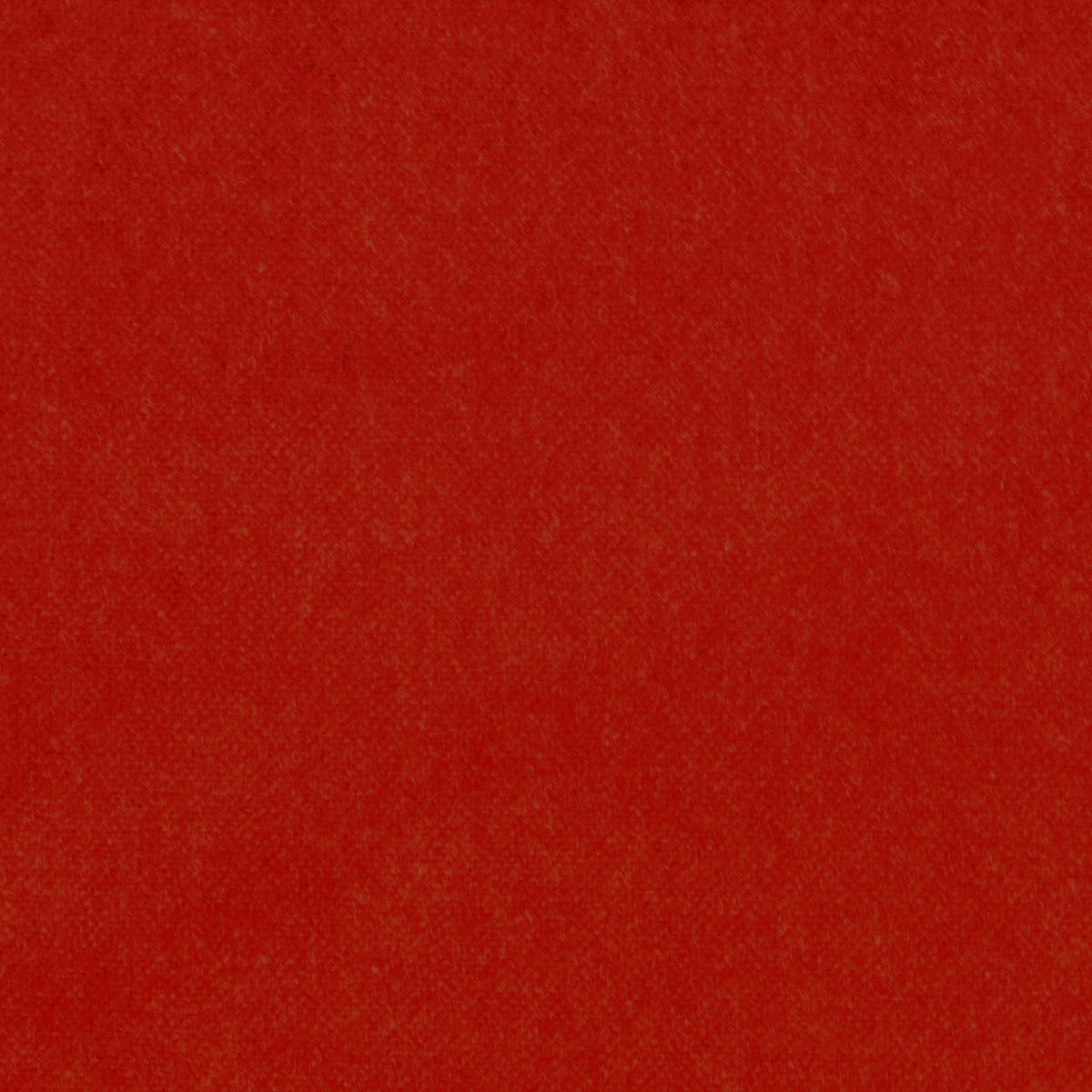 Od Monte Carlo - Poppy