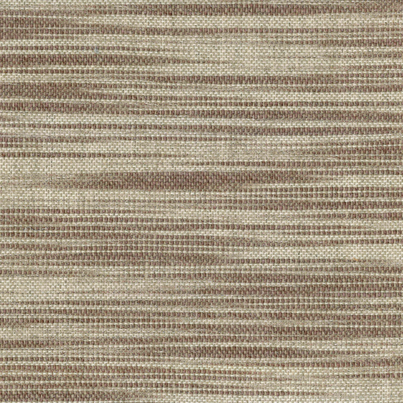 Eddy - Speckled Alder