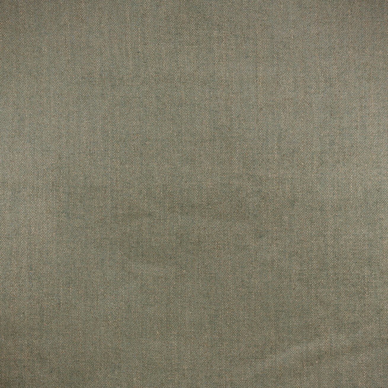 Quinn - Passenger Pigeon