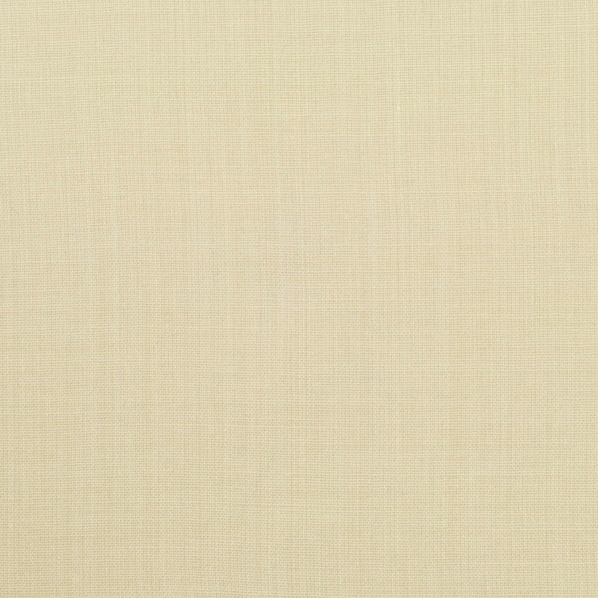 Setalana Sheer - Creme