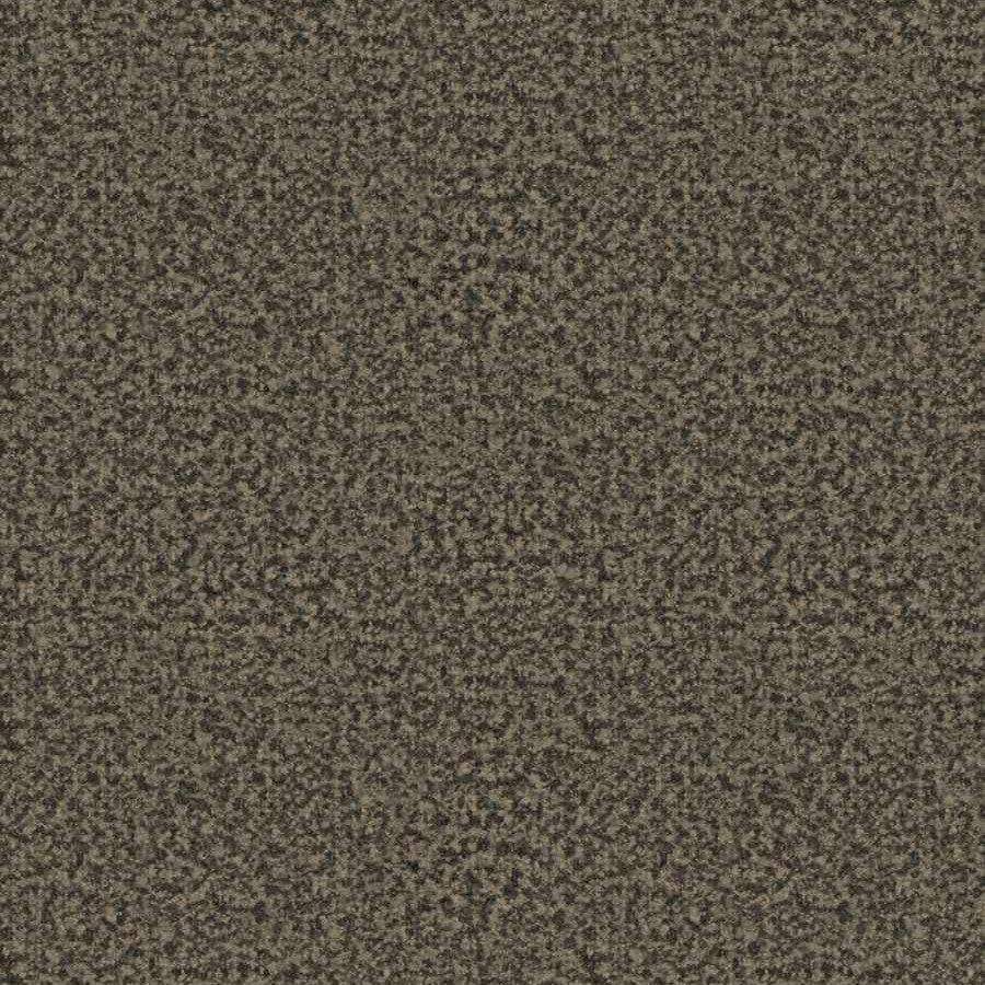 Jammu Boucle - Oakbark