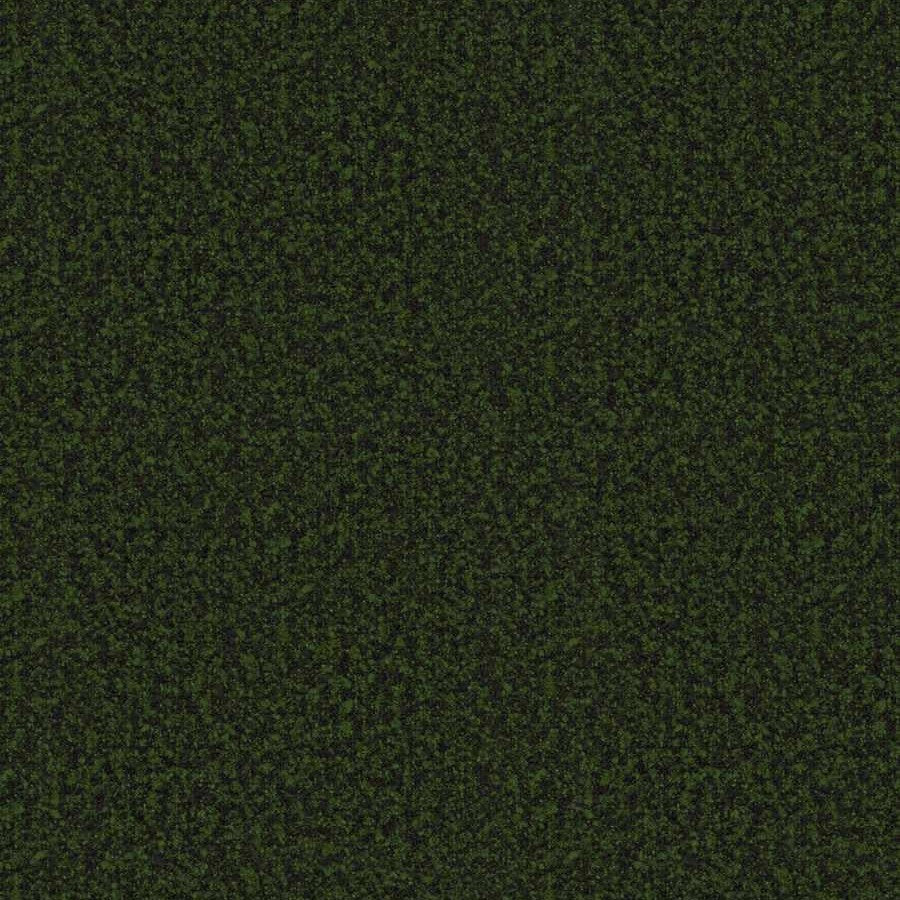 Jammu Boucle - Capberberry