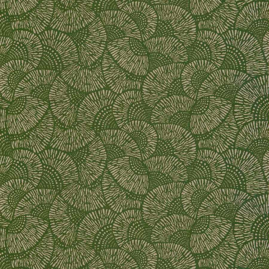 Eventails - Caperberry