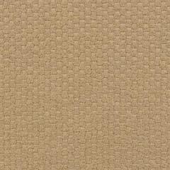 Couture Boucle N.12 - Pale Mocha