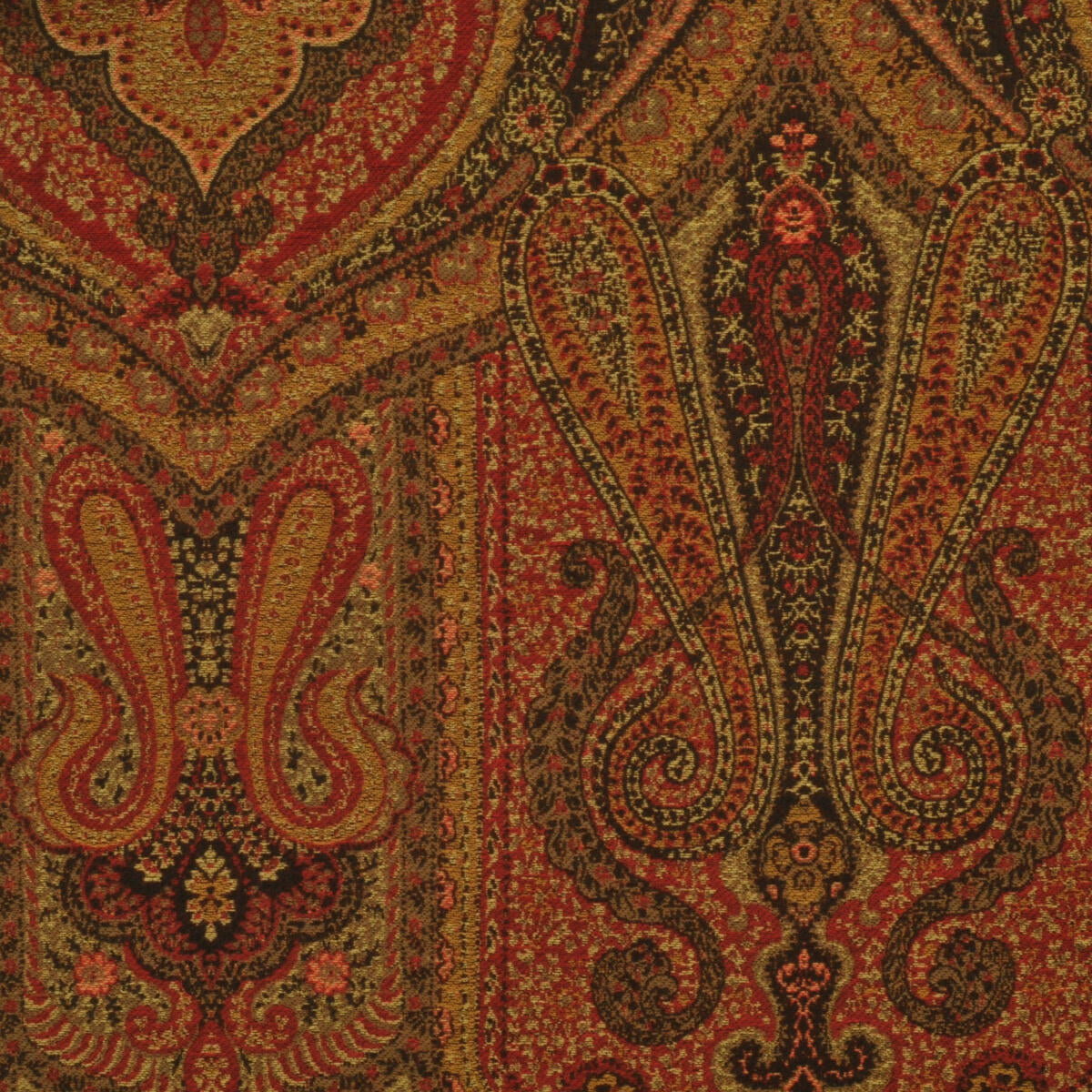 Rajasthan - Red / Brown