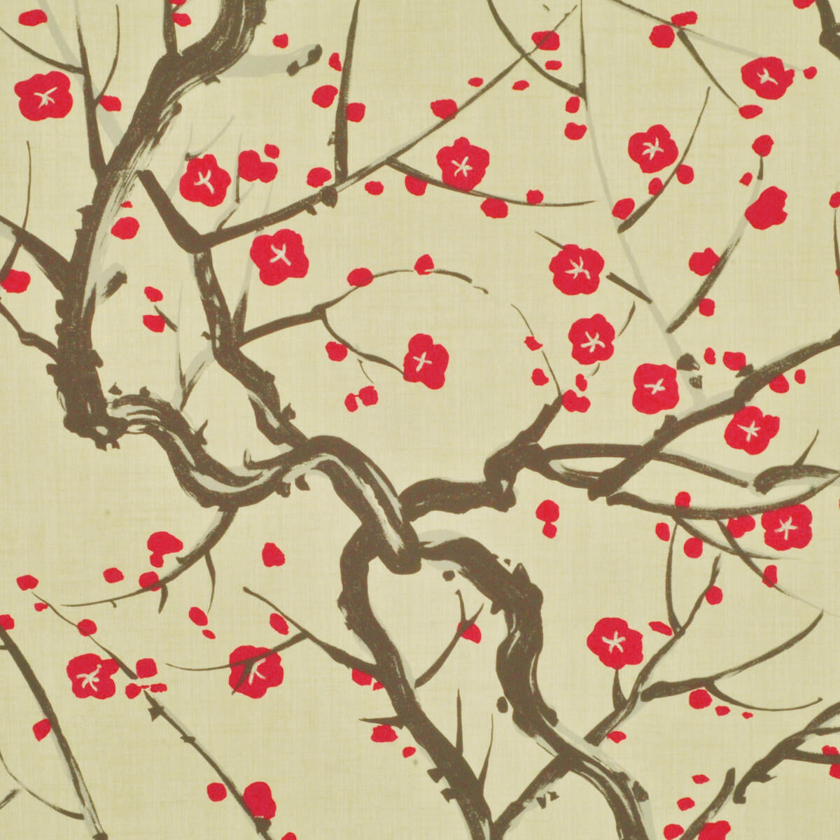 Flowering Quince - Fuchsia   Nc18