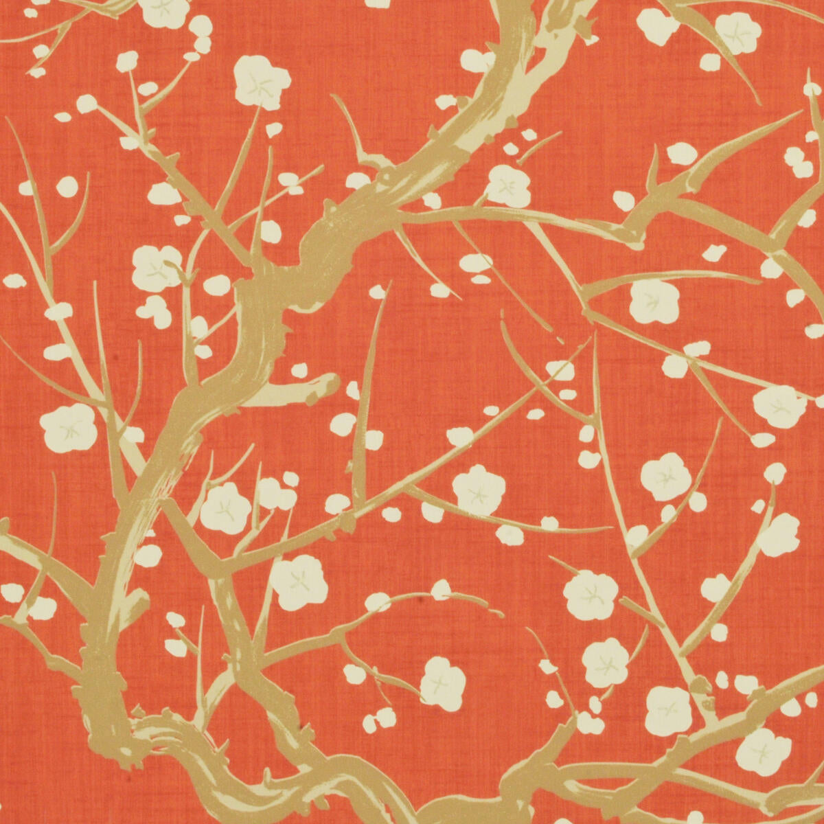 Flowering Quince - Poppy    Nc18