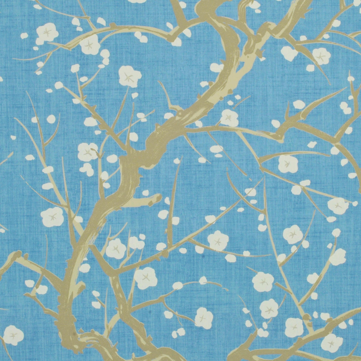 Flowering Quince - Sky      Nc18