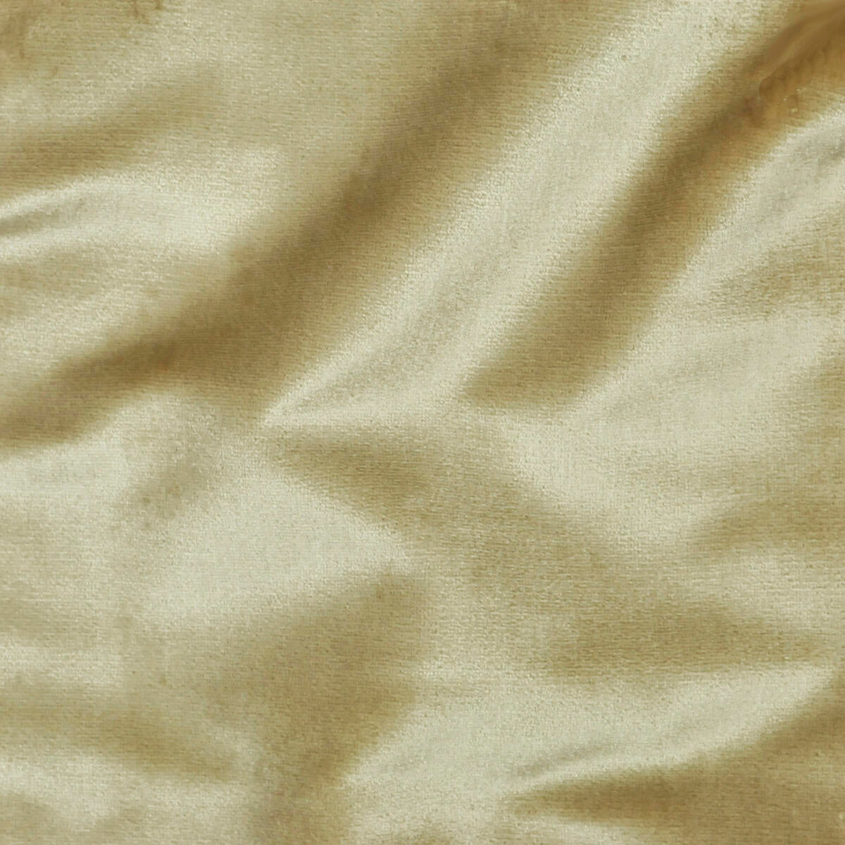 Traviata - Sable  Nc08