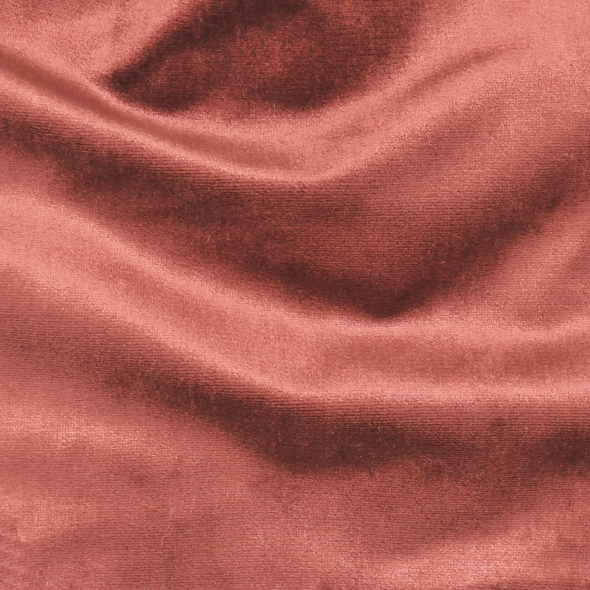 Traviata - Coral     Nc11