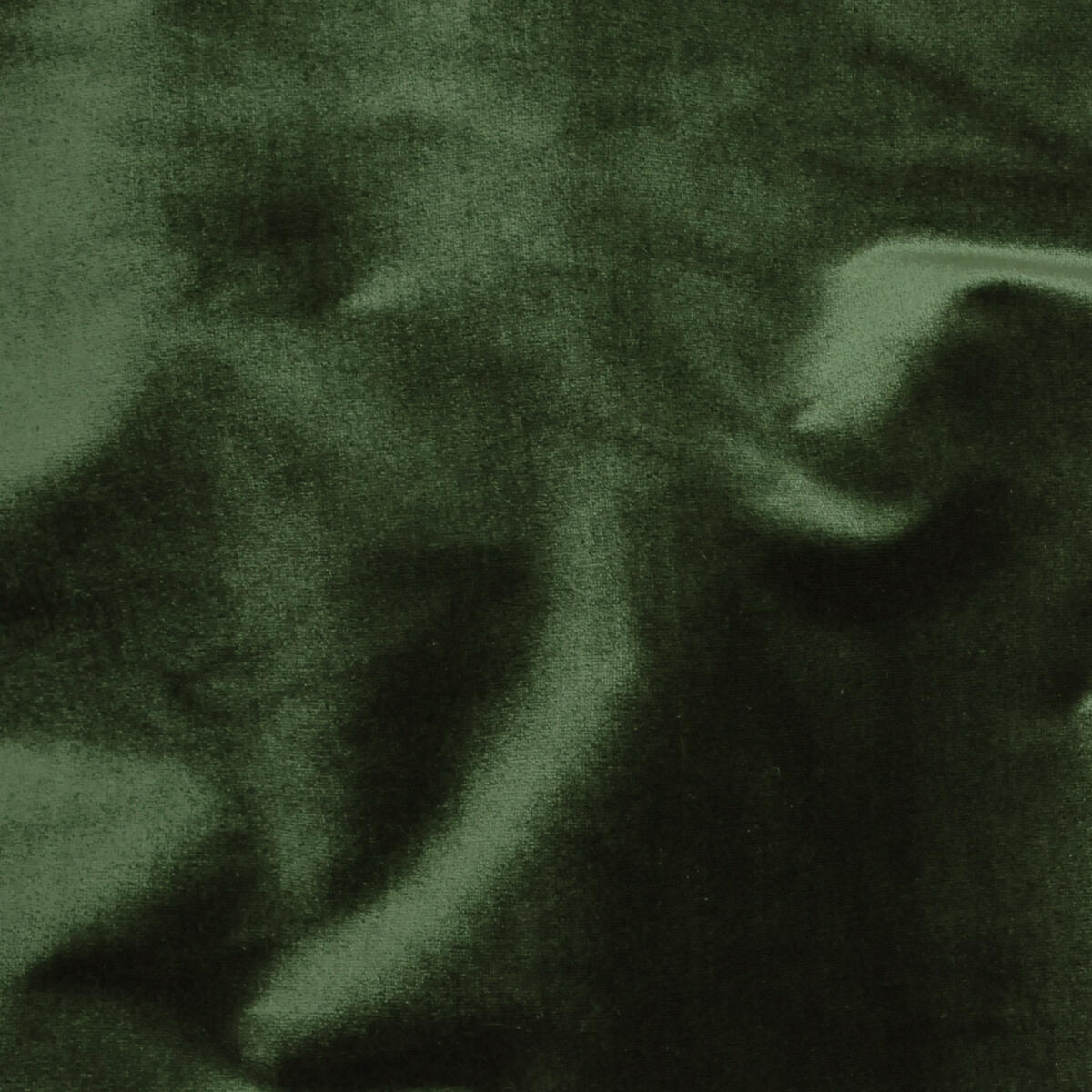 Traviata - Dark Green   Nc11