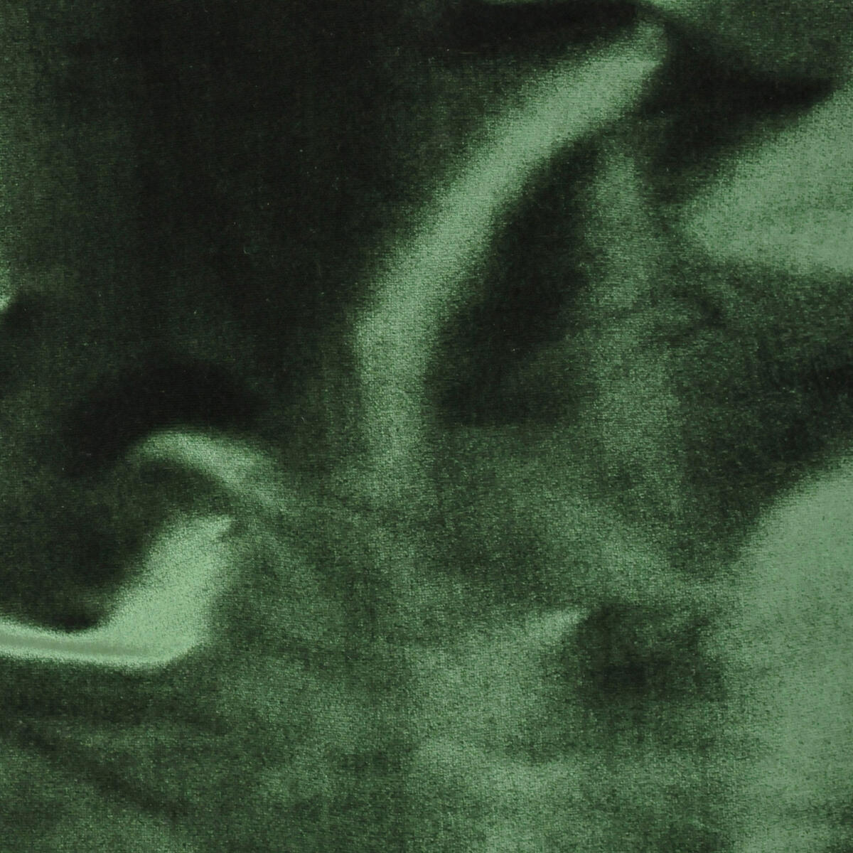 Traviata - Emerald   Nc14