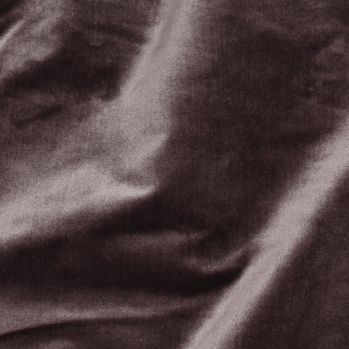 Traviata - Aubergine  Nc14