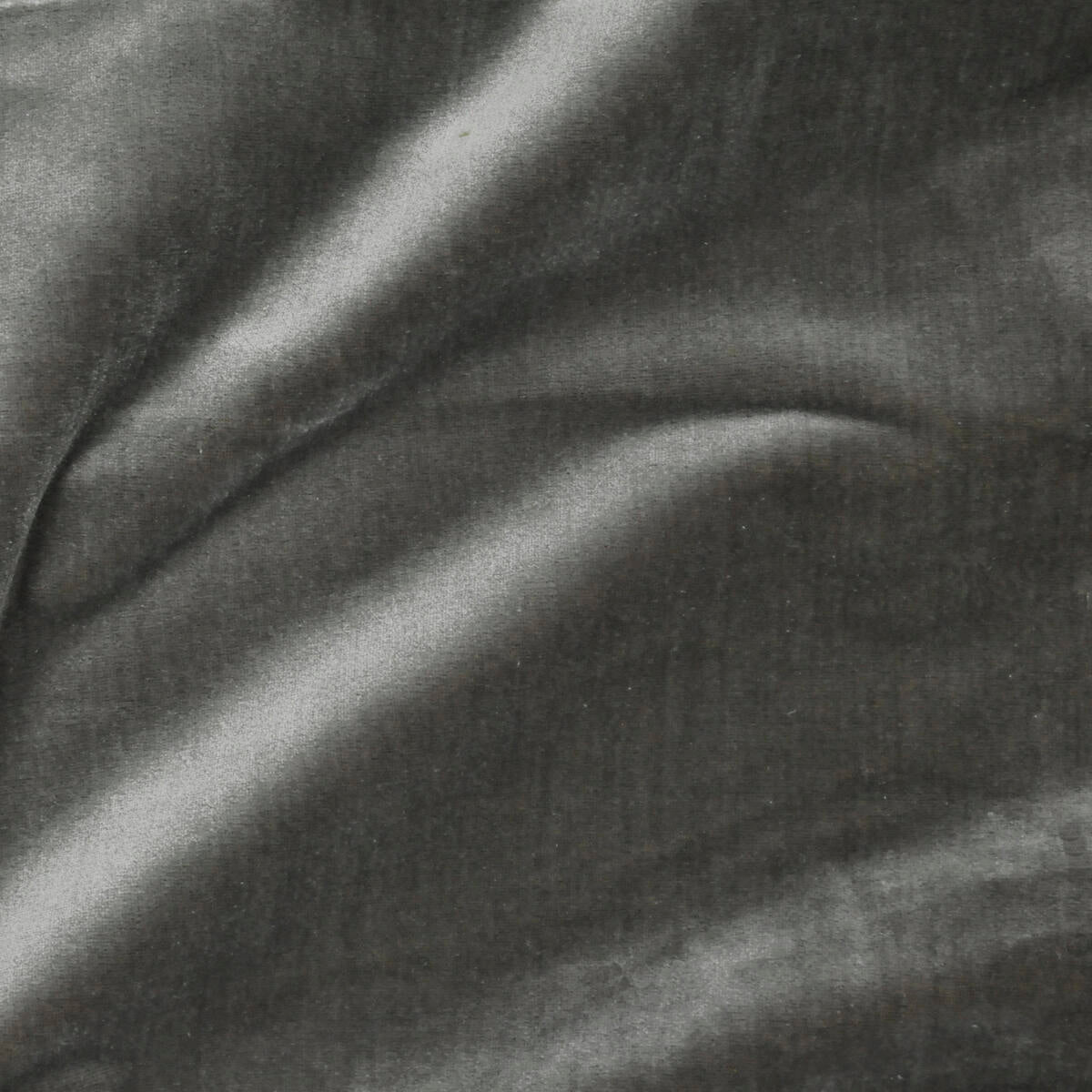 Traviata - Elephant   Nc14