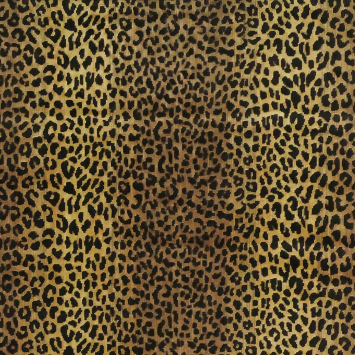 Kalahari - Color_Black