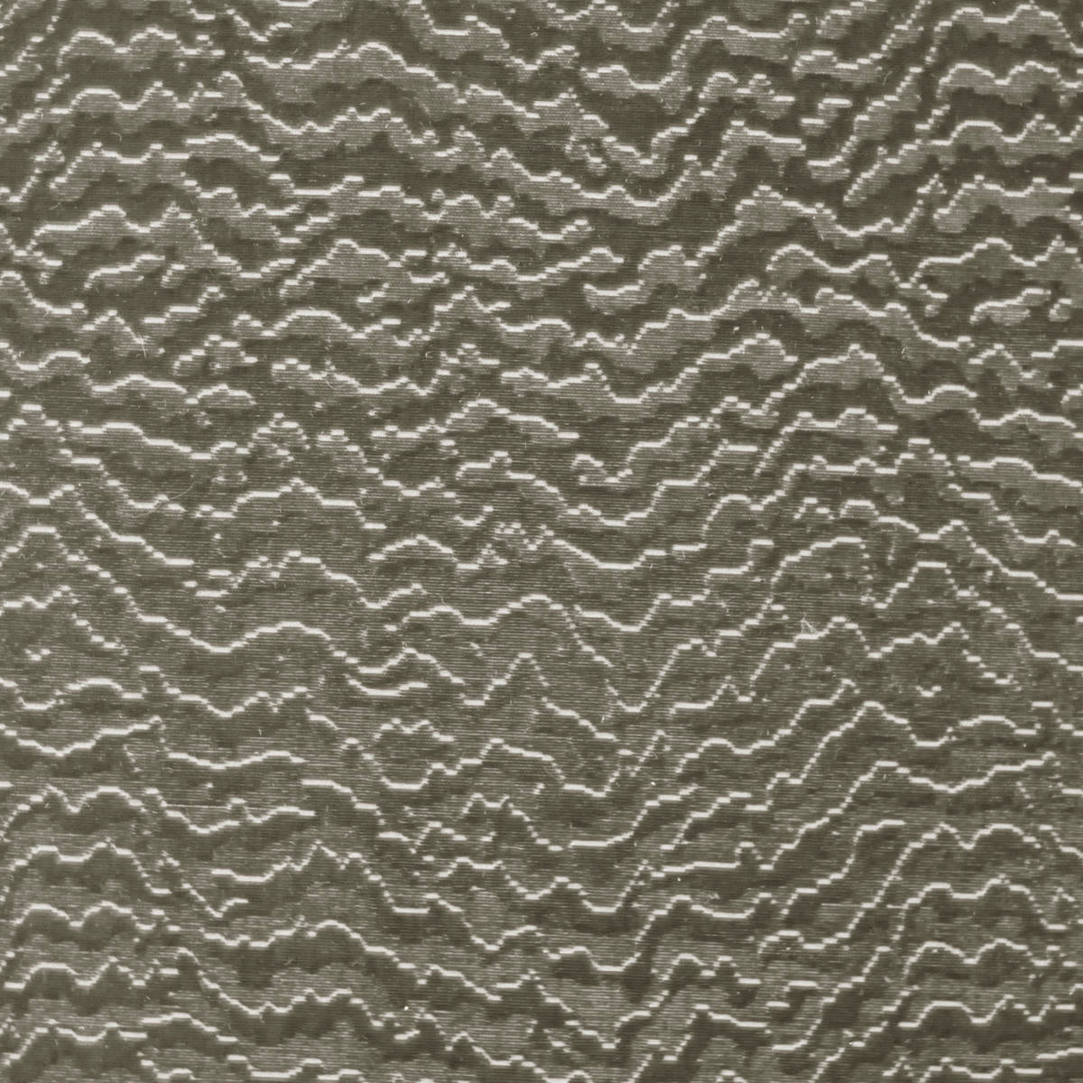 Borghese Velvet - Grey