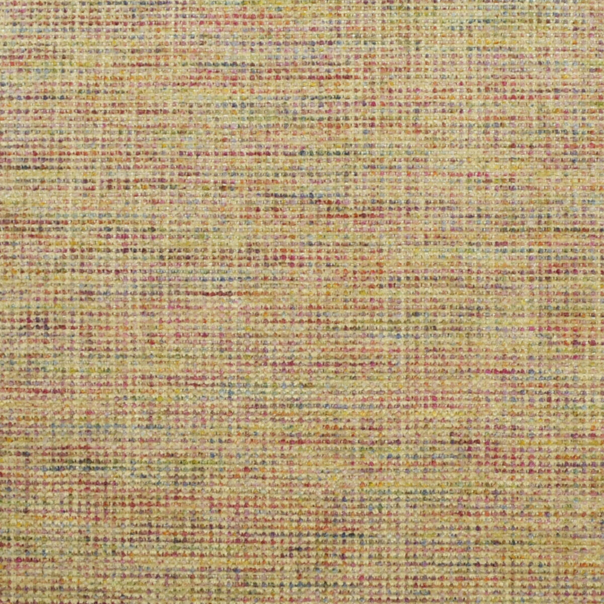 Godiva - Sand Multi Cfa