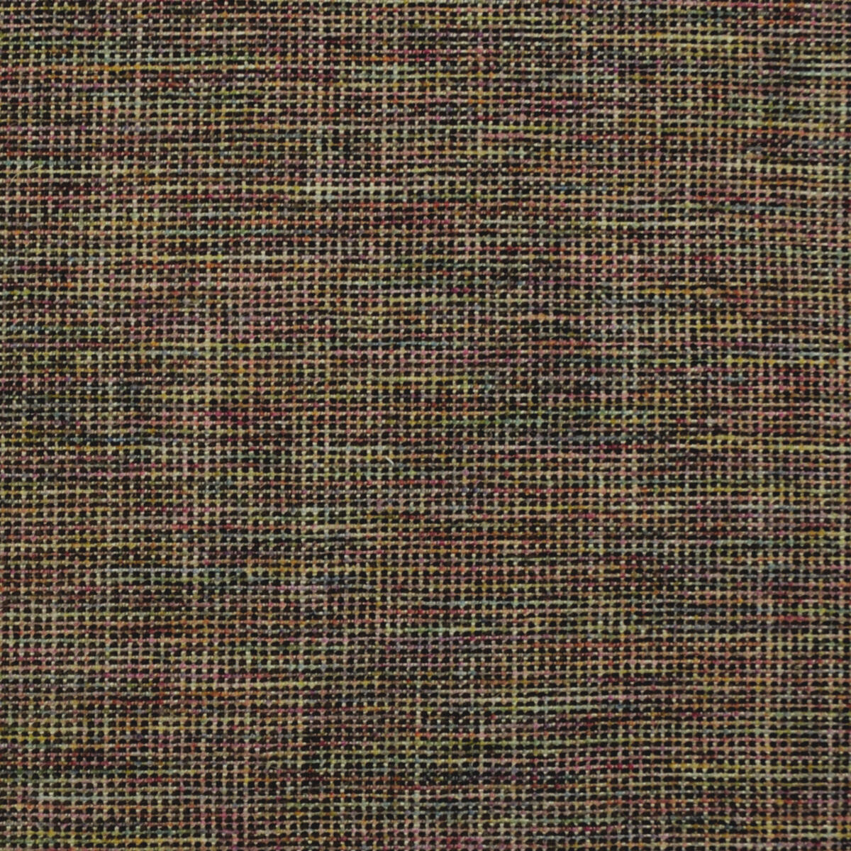 Godiva - Color_Black Multi Cfa