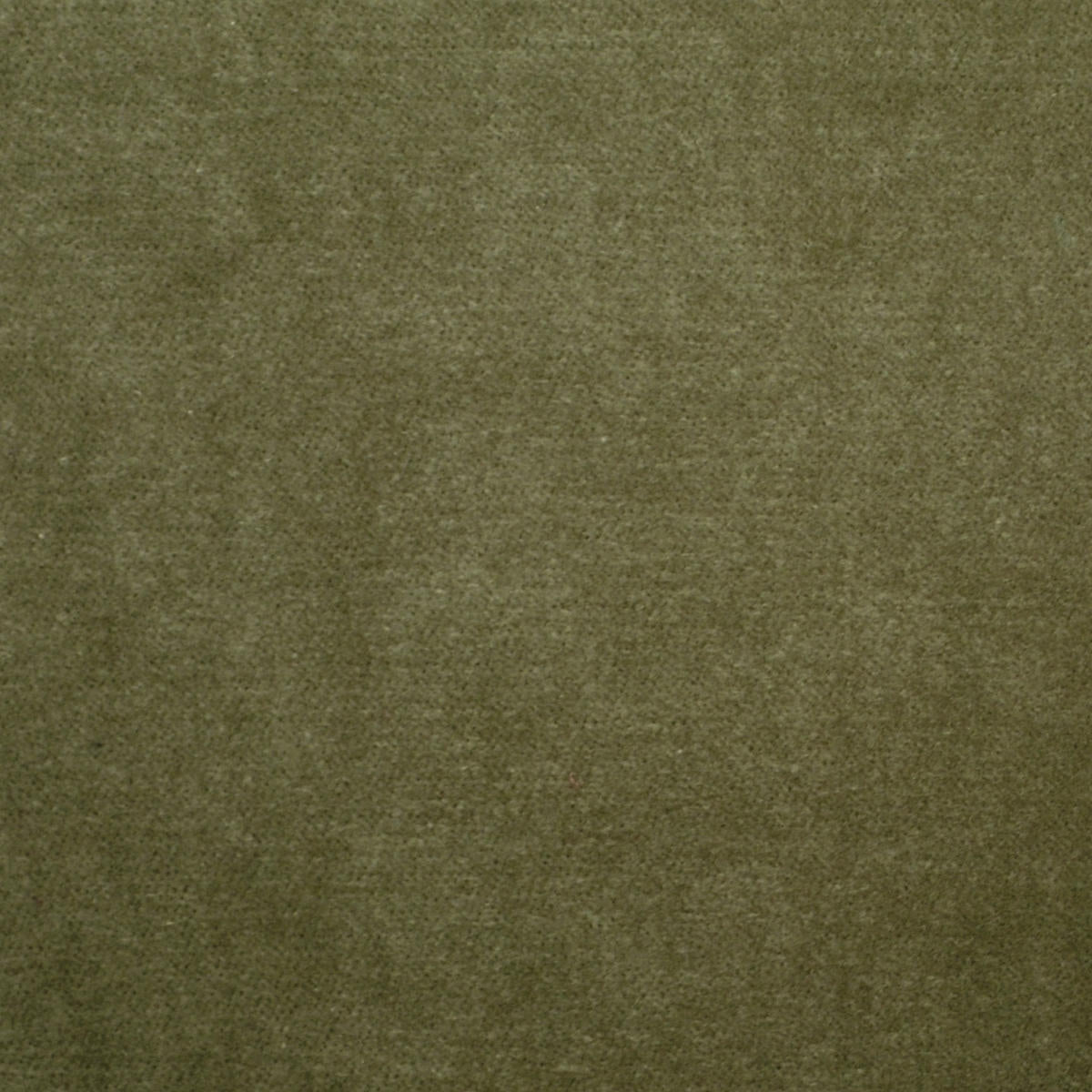 Este Velvet - Bay Leaf