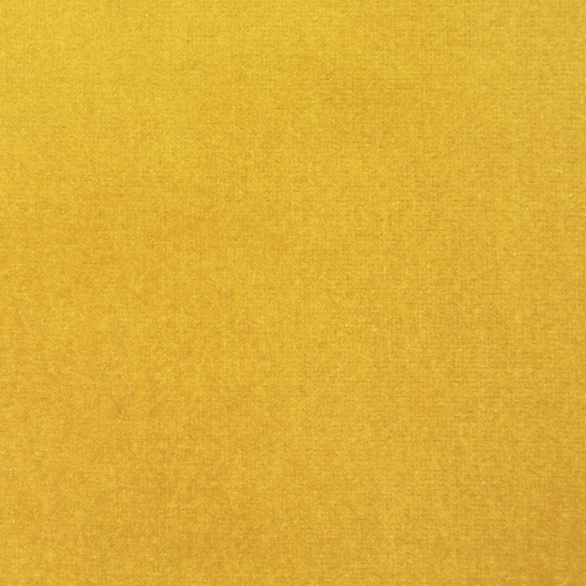 Como Velvet - Yellow    Nc15